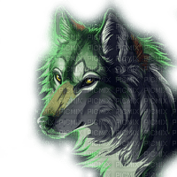 wolf green loup vert - kostenlos png