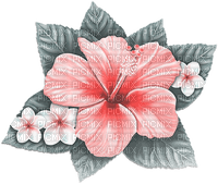 soave deco summer tropical flowers pink teal - 免费PNG