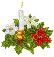 Bougie de Noël avec poisettia et roses de Noël - houx - GIF animé gratuit