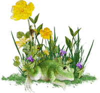 Flower Frog - nemokama png