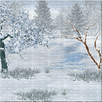 kikkapink winter animated forest background tree