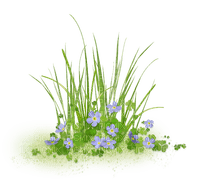 kikkapink deco grass purple flowers - 免费PNG