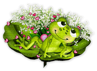 Y.A.M._Summer Wishes, aphorisms, quotes frog - png gratis