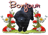 bonjour terre-neuve - Bezmaksas animēts GIF