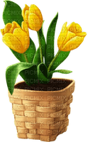 Maceta con flores - Free PNG