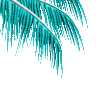 soave deco summer palm border animated teal - Безплатен анимиран GIF