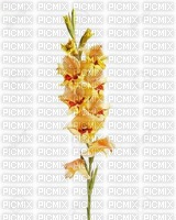 Fleurs jaune - nemokama png