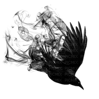 raven - PNG gratuit