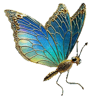 Mariposa - Besplatni animirani GIF