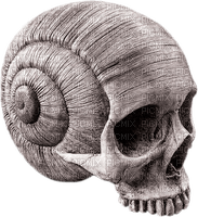 skull by nataliplus - besplatni png