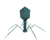 bacteriophage - GIF animado gratis