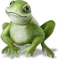 Grenouille - 無料png