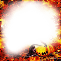 soave frame halloween pumpkin autumn leaves orange - 無料png