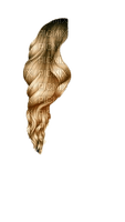 cheveux - darmowe png