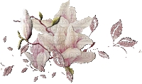 Blumen-Flowers-fleurs - Zdarma animovaný GIF