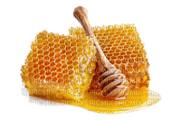 miel - gratis png