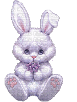 minou-animated-rabbit-kanin