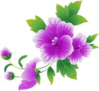 All my lovely flowers - 免费PNG