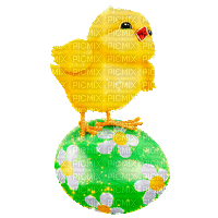 Easter Chick by nataliplus - GIF animasi gratis