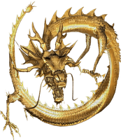 drachen dragon - Free PNG