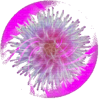 gömb-virággal - Δωρεάν κινούμενο GIF
