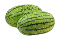 Watermelon - ücretsiz png