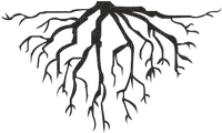 roots - zdarma png