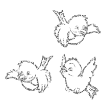 image encre animé effet scintillant ornement fantaisie oiseaux briller edited by me - GIF animate gratis