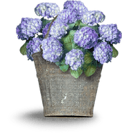 Bloemen en planten - png gratis