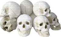 white skulls gothic - darmowe png