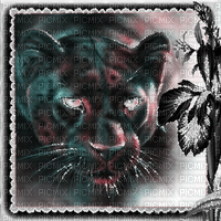 Panther milla1959 - Bezmaksas animēts GIF