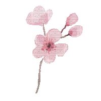 Pink.Flowers.Bouquet.gif.Victoriabea - GIF animé gratuit