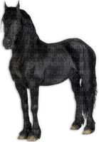 blck horse6 - besplatni png