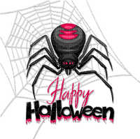 soave spider web text halloween  deco