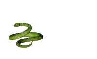 snake bp - Darmowy animowany GIF