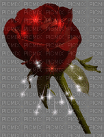 rosa rossa - GIF animate gratis