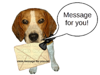 maj beagle - ilmainen png