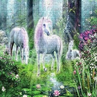 fantasy unicorn bg licorne fond fantaisie