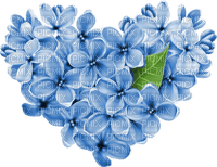 blue flowers Bb2 - besplatni png