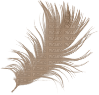 dolceluna deco steampunk feather - Free PNG