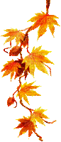 autumn branch by nataliplus - Darmowy animowany GIF