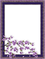 frame purple bp - ücretsiz png