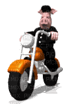 moto - Ingyenes animált GIF