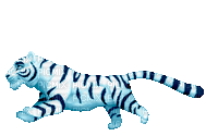 blue tiger  by nataliplus - 免费动画 GIF