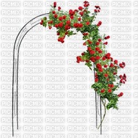 fleurs roses rouges - PNG gratuit