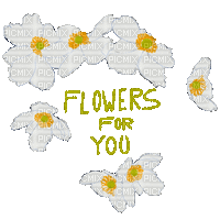 Flowers For You - GIF เคลื่อนไหวฟรี