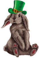 st. Patrick hare by nataliplus - PNG gratuit