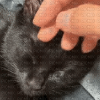 Petting cat :)) - Бесплатный анимированный гифка