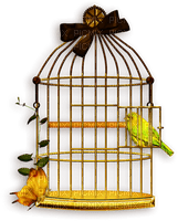 Cage à oiseaux - безплатен png