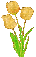 yellow tulips glitter - Бесплатни анимирани ГИФ